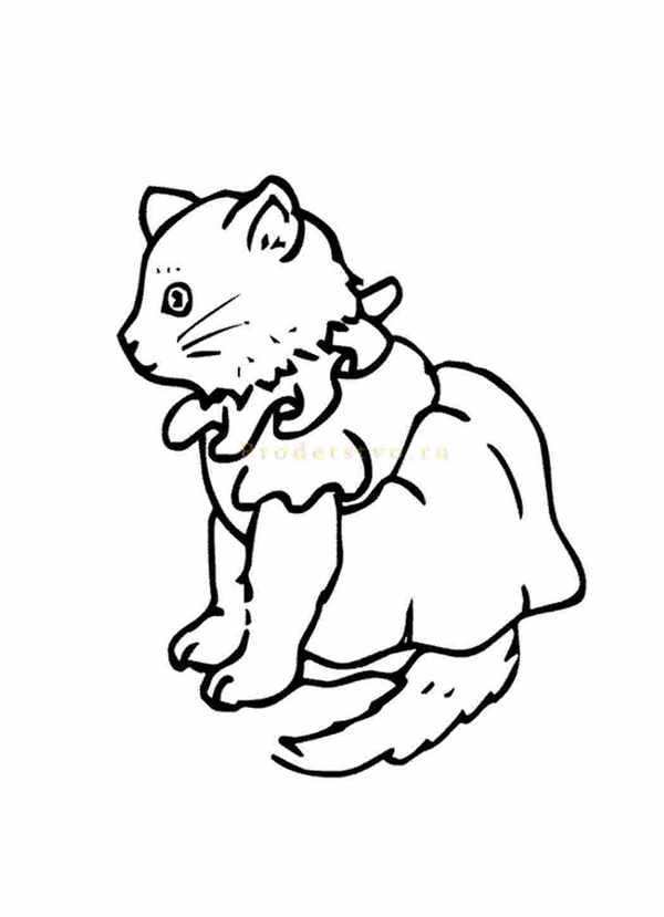 Раскраска Palace Pets