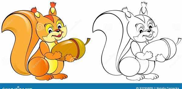 Белка раскраска для детей