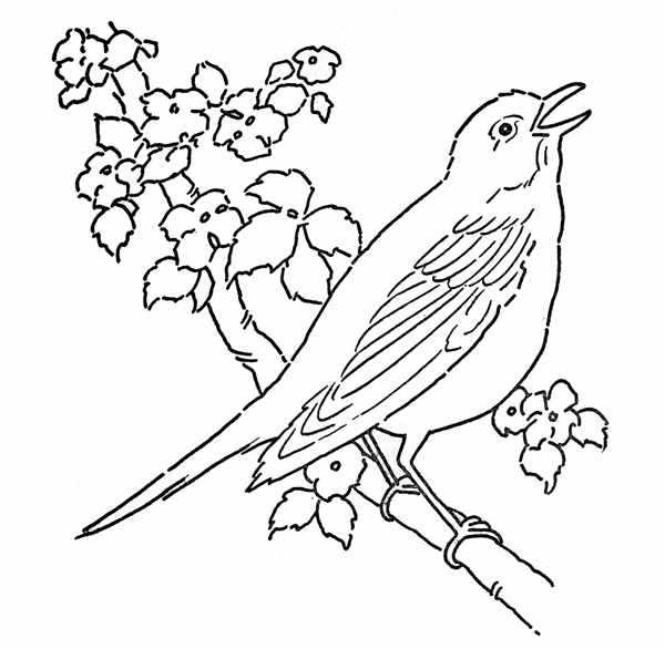 Птицы. Раскраска