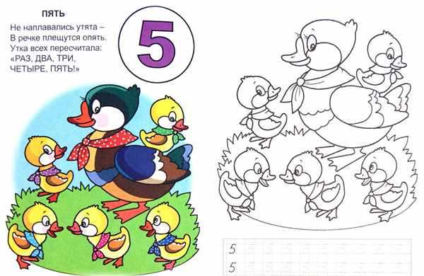 Цифры в стихах