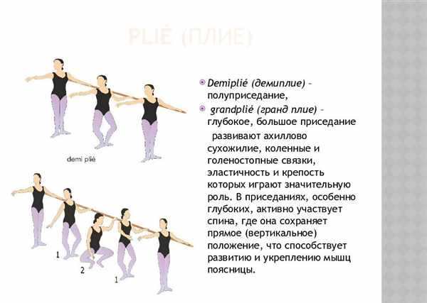 Гранд плие в классическом танце