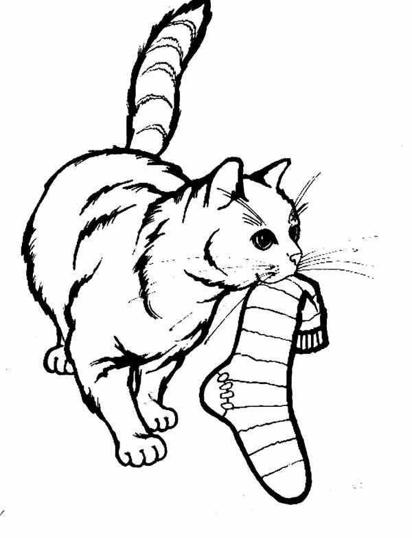 Котенок. Раскраска