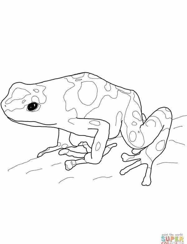 Лягушка квакша