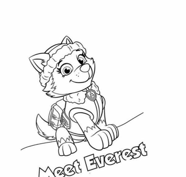 Paw Patrol Coloring Everest
