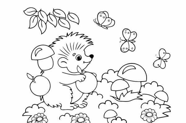 Ёжик раскраска для детей 4-5 лет