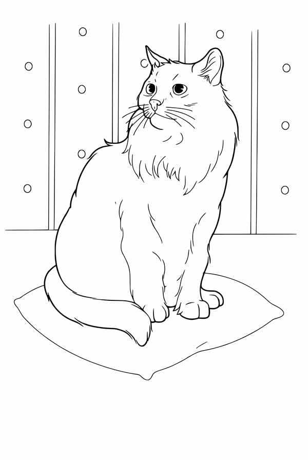 Раса кошка