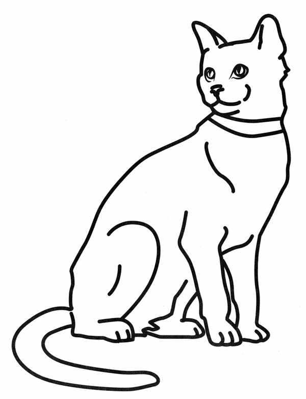 Кошка раскраска для детей