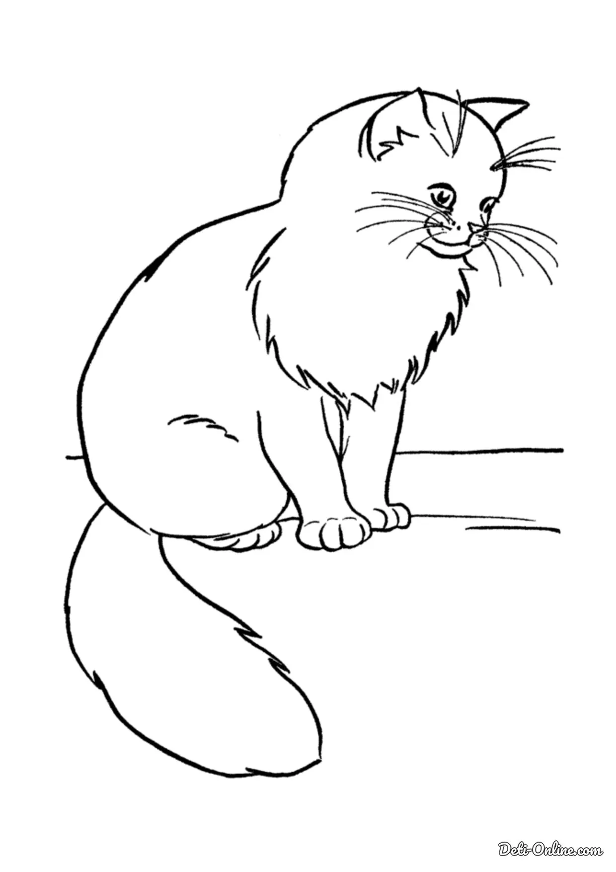 Раскраска кот