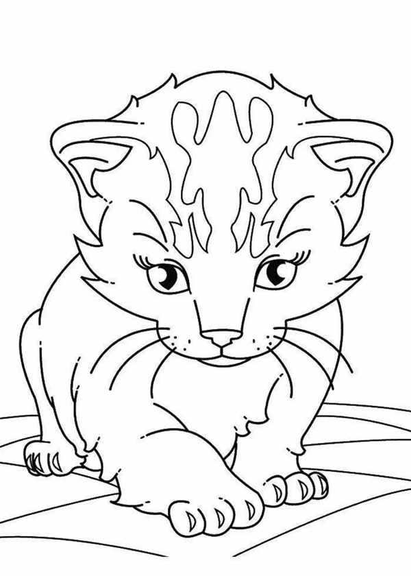 Котик раскраска для детей