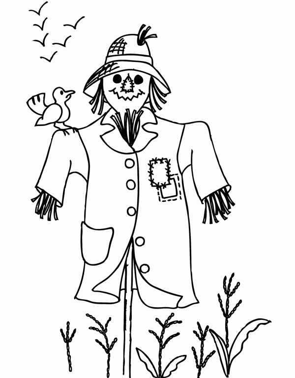 Scarecrow Halloween раскраска