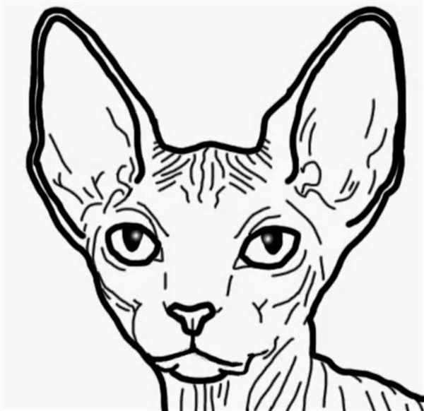 Кошка раскраска для детей