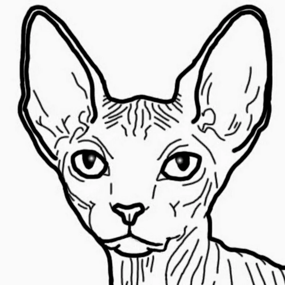 Раскраски смешные котики