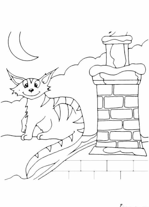 Картинка котоняня