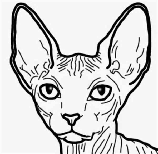 Кошка раскраска для детей