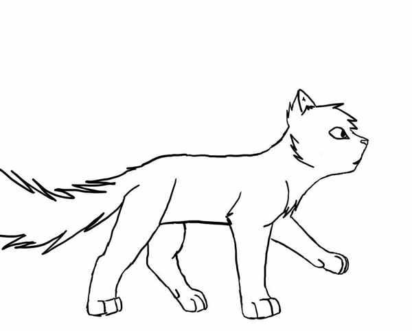 Котенок. Раскраска