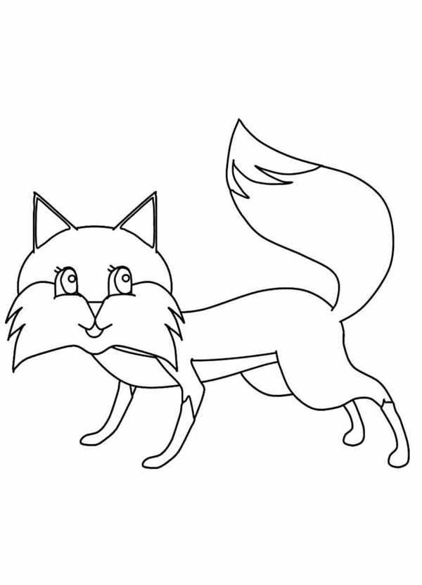 Мордочка кота рисунок карандашом
