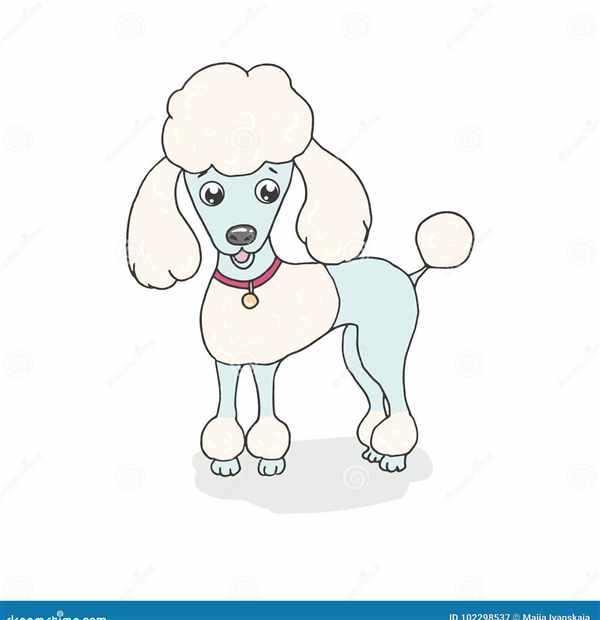 Раскраска белый пудель Куприн