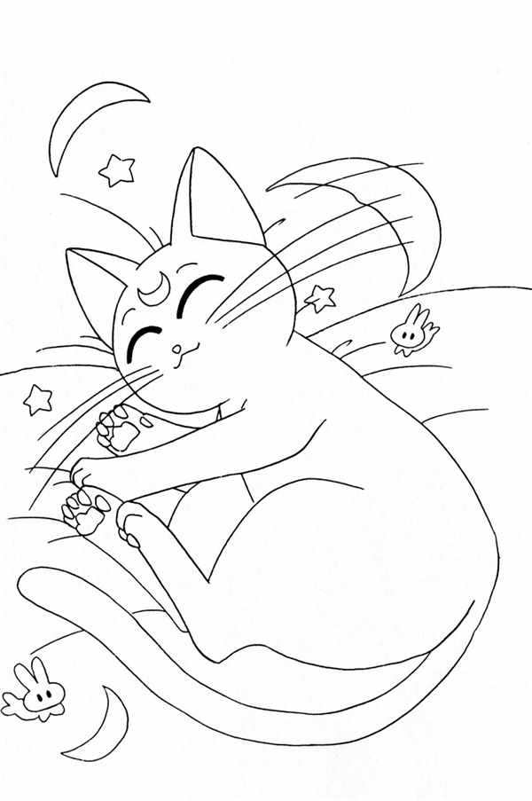 Раскраска. Котики