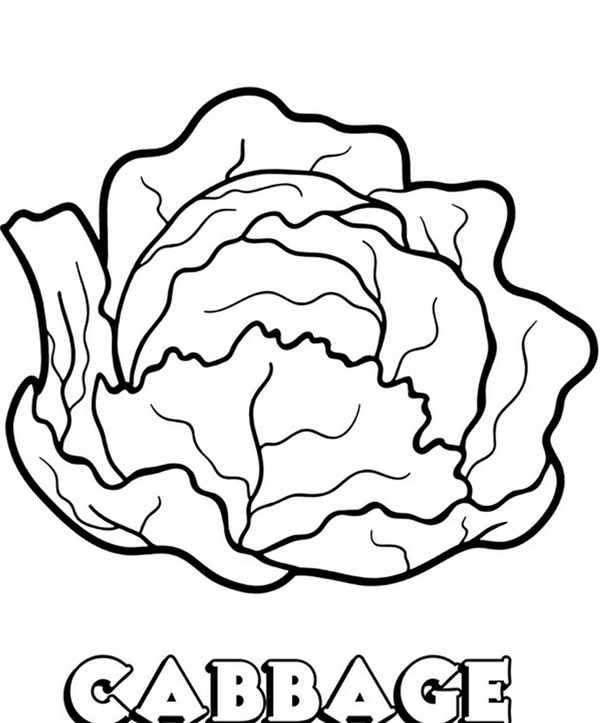Цветная капуста раскраска для детей