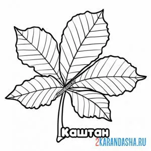 Лист каштана раскраска