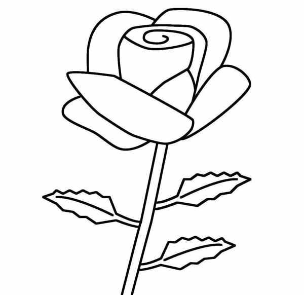Роза раскраска