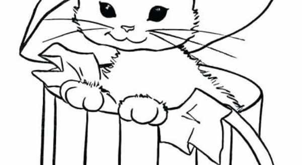 Кошечка Хэллоуин нарисовать