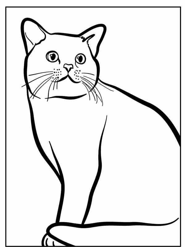 Кошки. Раскраска