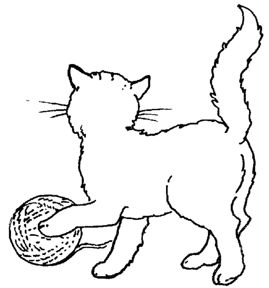 Котенок. Раскраска