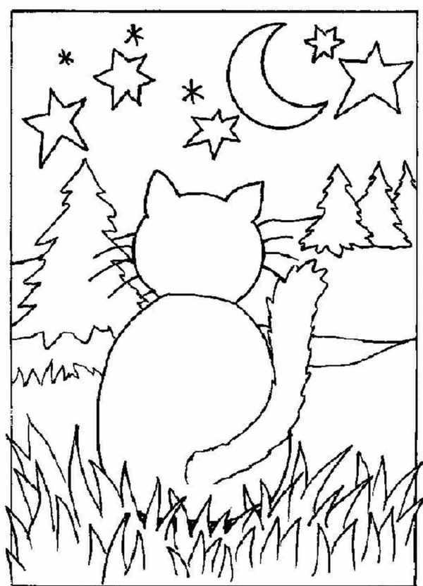 Кот сидит раскраска