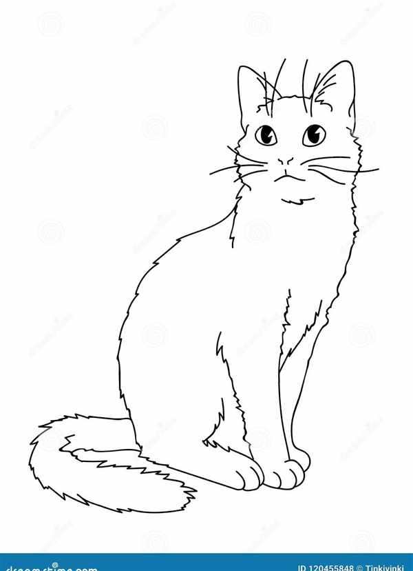 Кошки. Раскраска