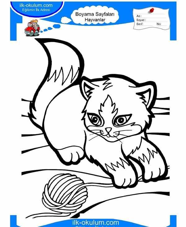 Развертка кота