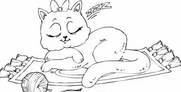 Раскраска кот