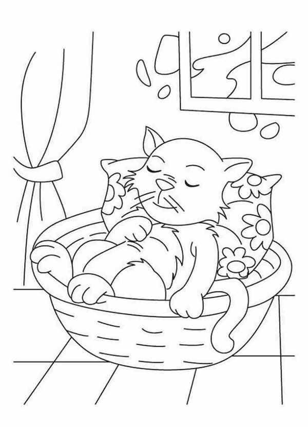Раскраска. Котики