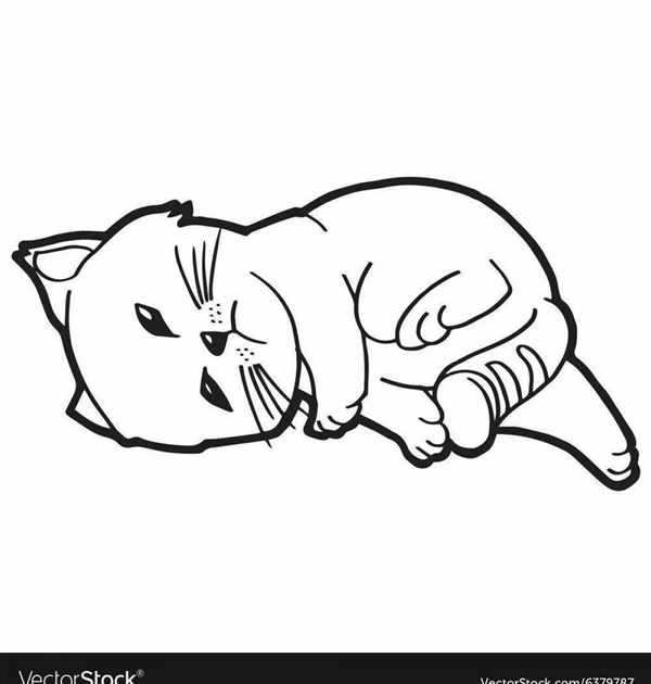 Котенок спит раскраска