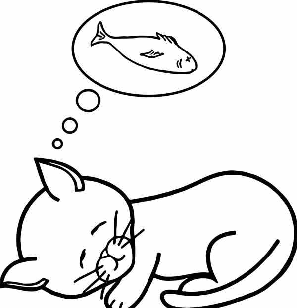 Рисунок кошки для срисовки
