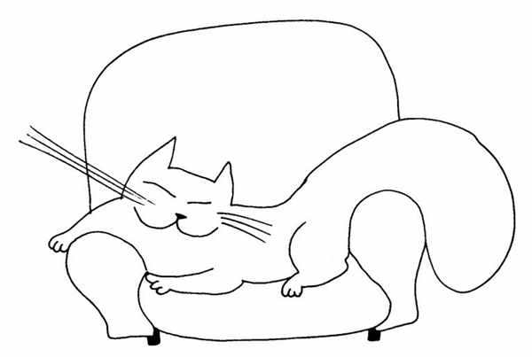 Котик контур