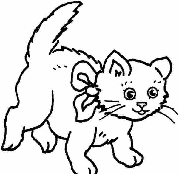 Раскраска. Котики