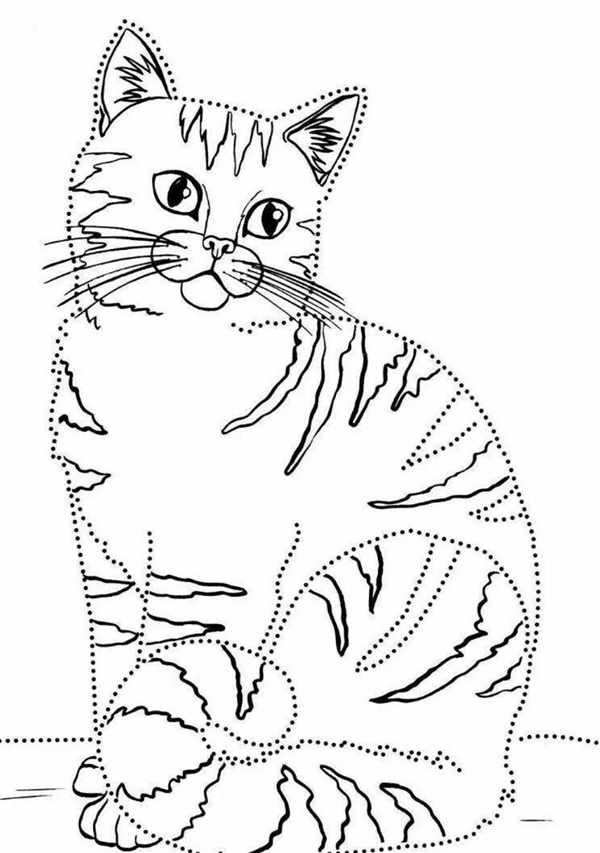 Раскраска кот