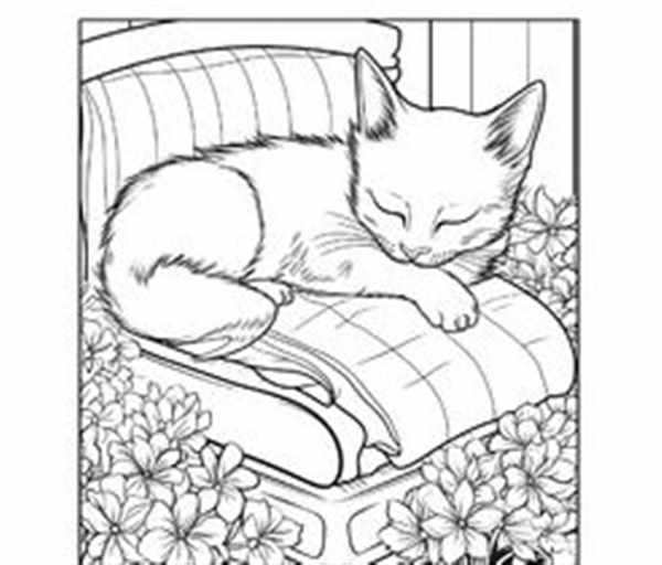 Спящий кот раскраска