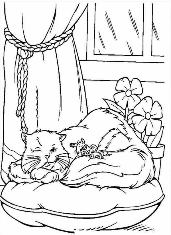 Котенок. Раскраска