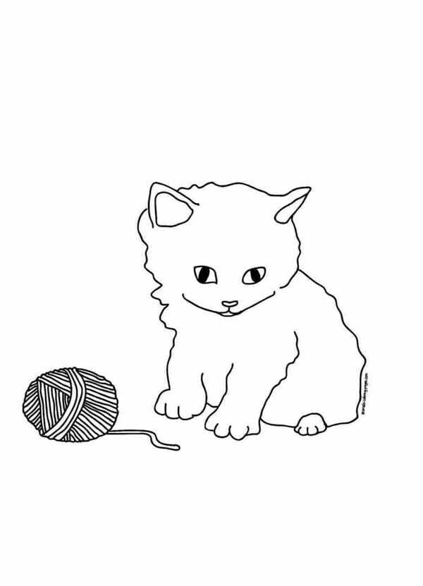 Котенок и клубок ниток