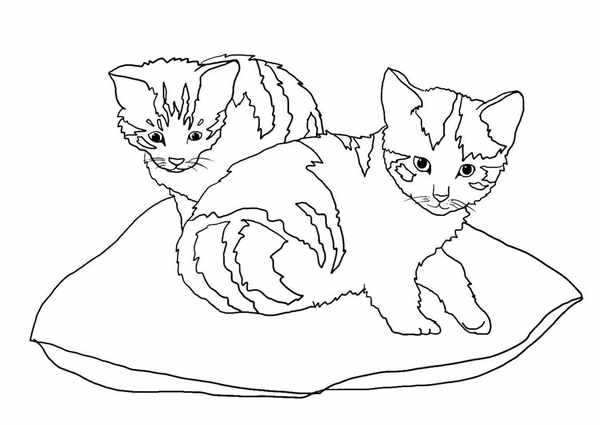 Котенок. Раскраска
