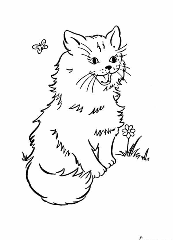 Раскраска. Котики