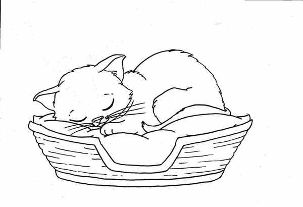 Котенок. Раскраска