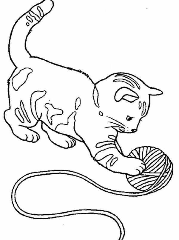 Коты с сосисками иллюстрации