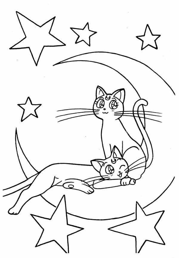 Раскраска котята в корзинке