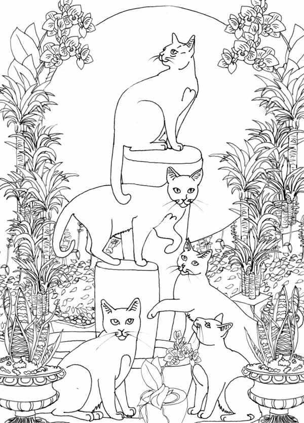 Раскраска котики Пушины