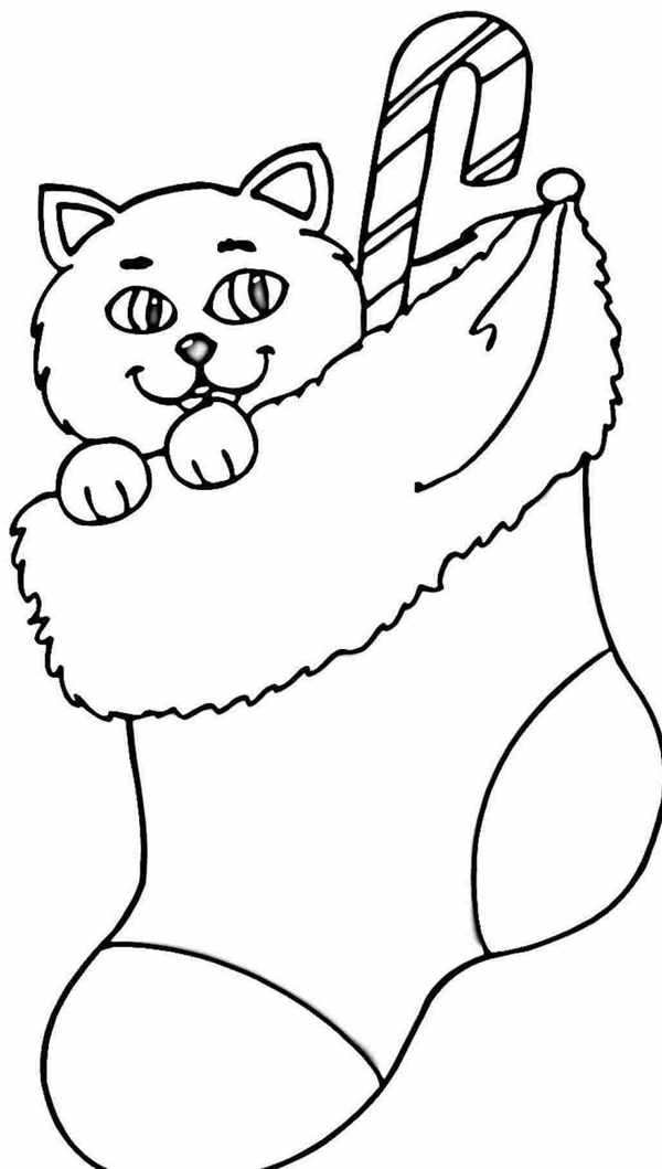 Котенок в Новогодней Шапке Завораживающая Раскраска