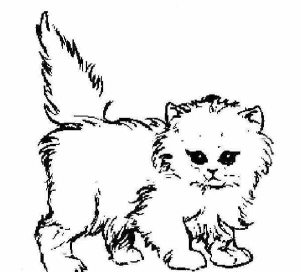 Раскраска кошечка