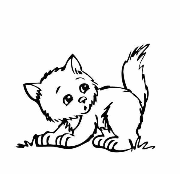 Котенок. Раскраска